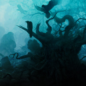 Dark Forest